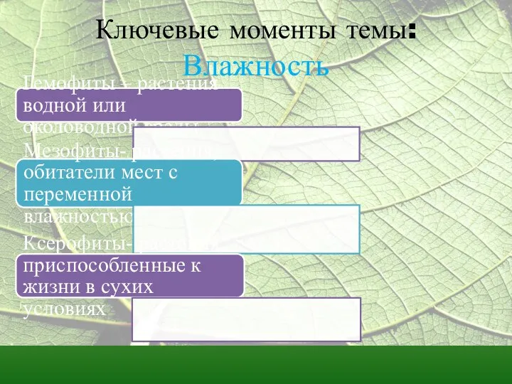 Ключевые моменты темы: Влажность Гемофиты – растения водной или околоводной среды