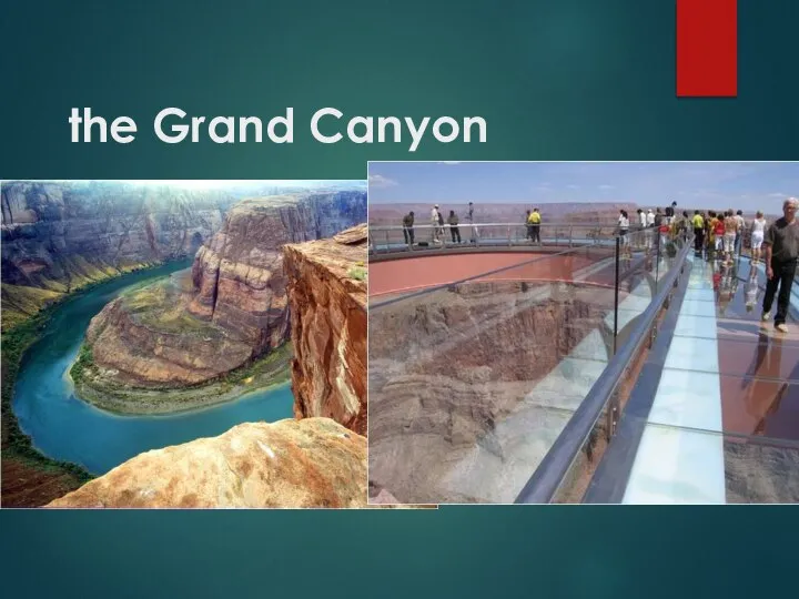 the Grand Canyon