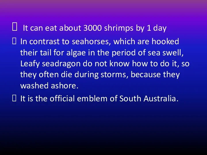 It can eat about 3000 shrimps by 1 day In contrast