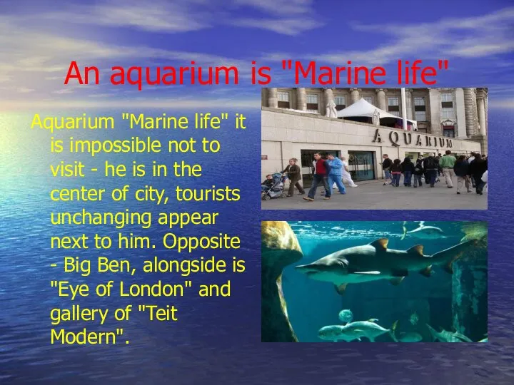 An aquarium is "Marine life" Aquarium "Marine life" it is impossible