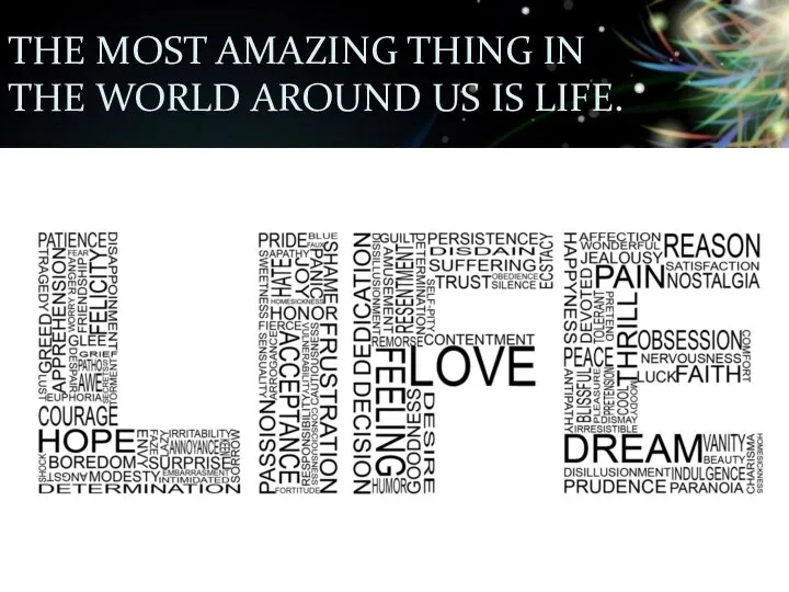 The most amazing thing in the world around us is life.