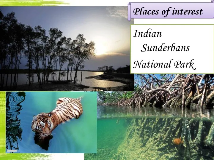 Places of interest Indian Sunderbans National Park