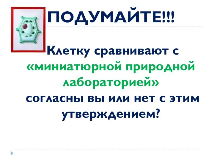 ПОДУМАЙТЕ!!! Клетку сравнивают с «миниатюрной природной лаборато­рией» согласны вы или нет с этим утверждением?