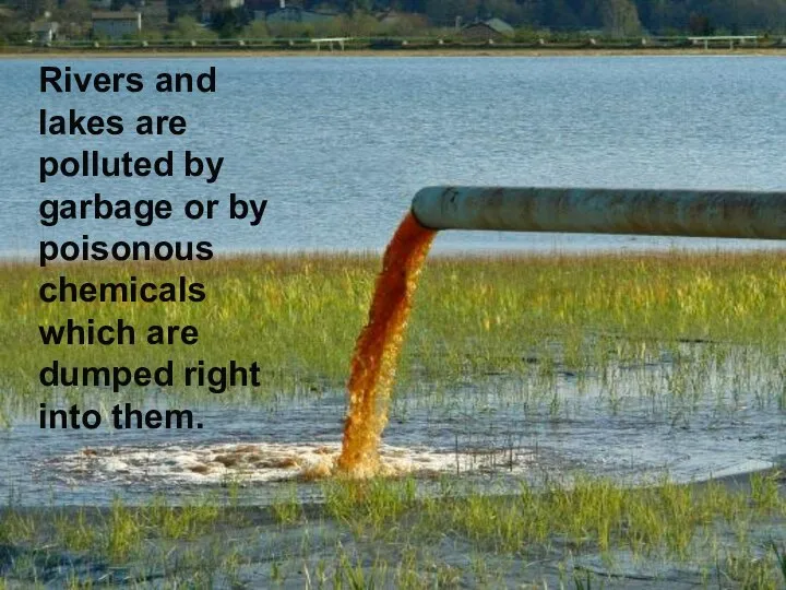 Rivers and lakes are polluted by garbage or by poisonous chemicals