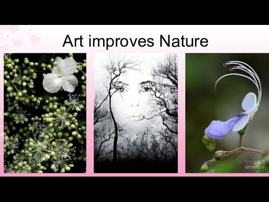 Art improves Nature