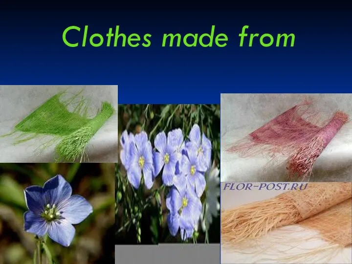 Clothes made from