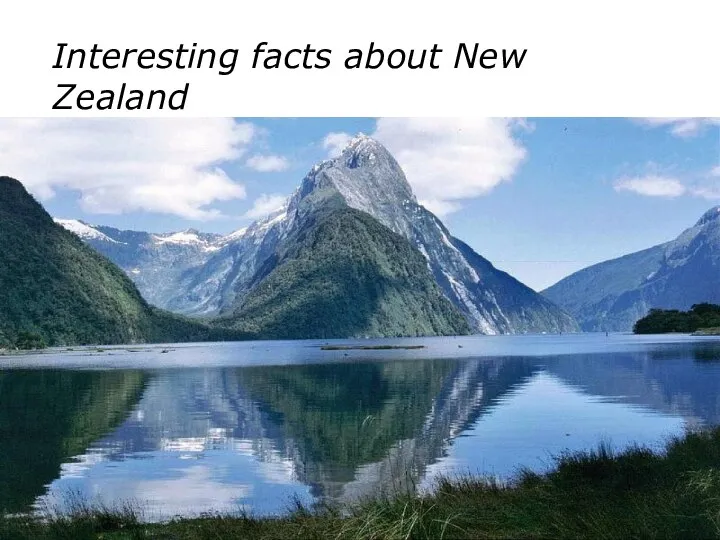 Interesting facts about New Zealand