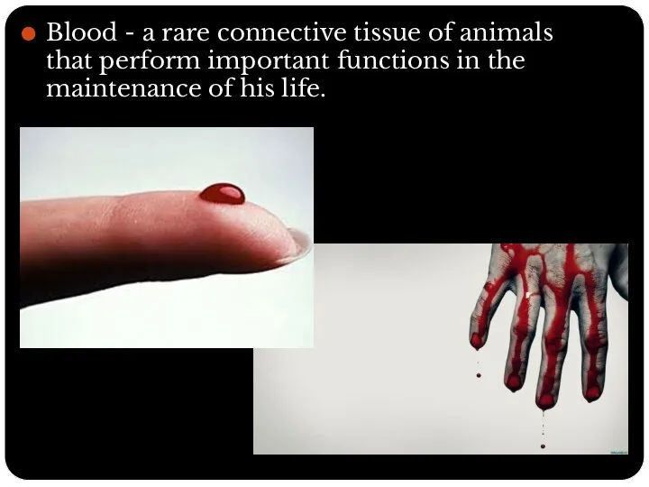 Blood - a rare connective tissue of animals that perform important