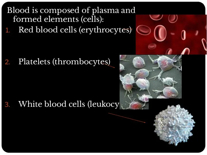 Blood is composed of plasma and formed elements (cells): Red blood