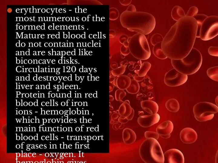 erythrocytes - the most numerous of the formed elements . Mature