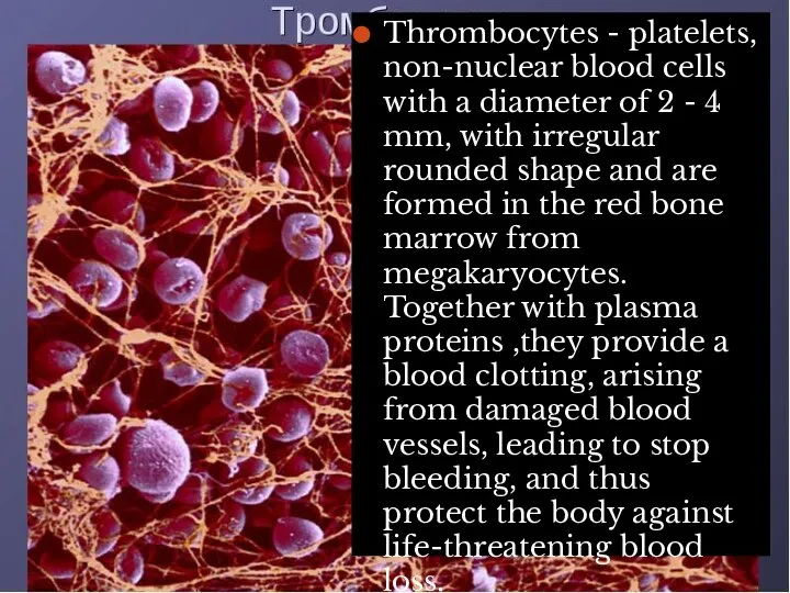 Thrombocytes - platelets, non-nuclear blood cells with a diameter of 2