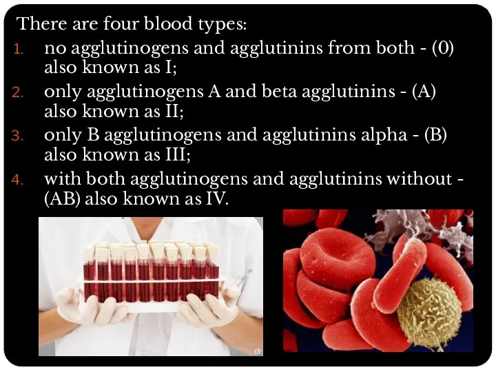 There are four blood types: no agglutinogens and agglutinins from both