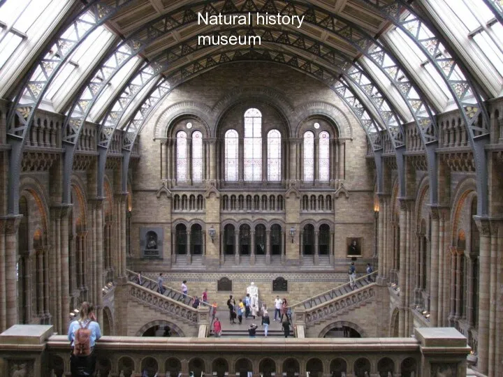 Natural history museum