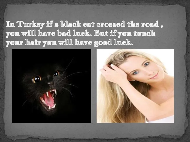 In Turkey if a black cat crossed the road , you