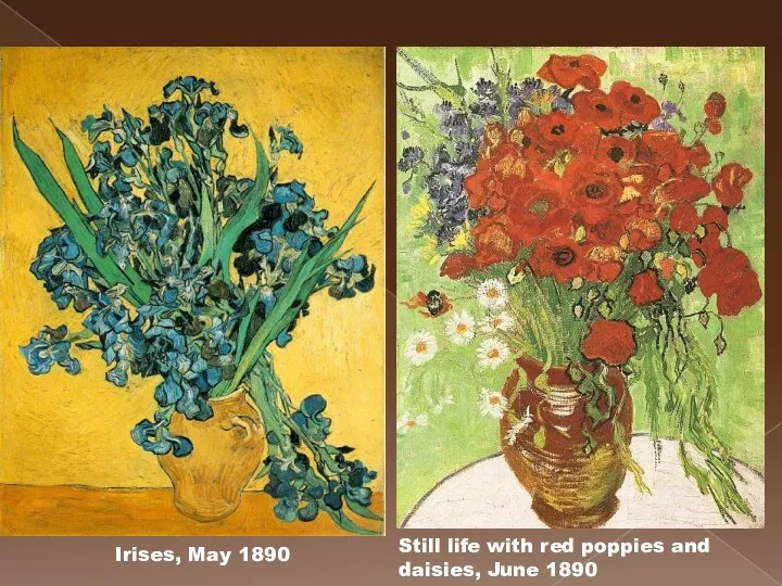 Still life with red poppies and daisies, June 1890 Irises, May 1890