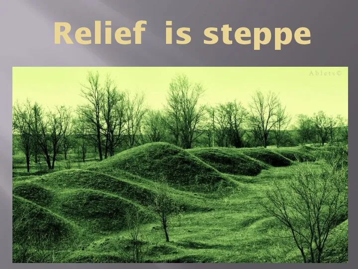 Relief is steppe