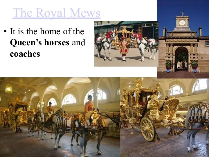 The Royal Mews It is the home of the Queen’s horses and coaches