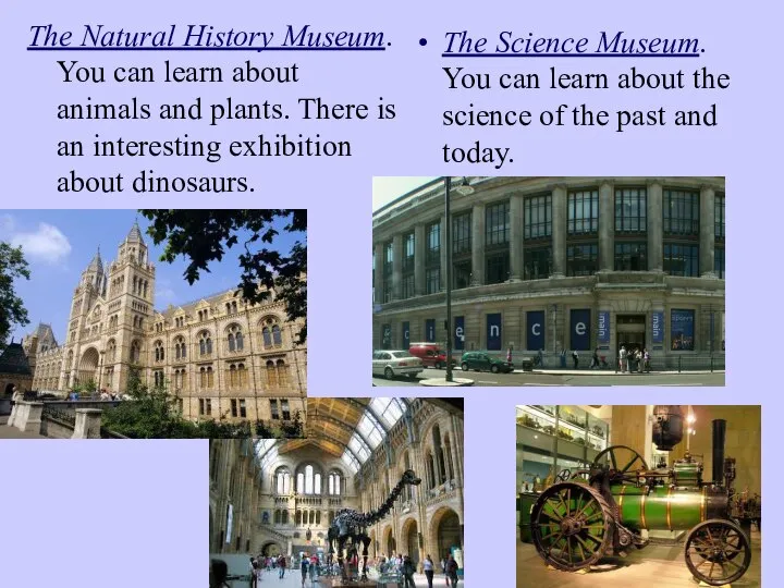 The Natural History Museum. You can learn about animals and plants.