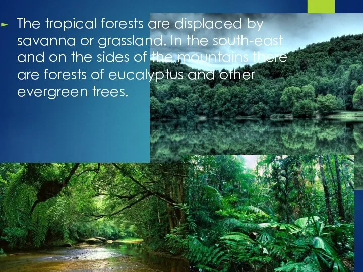 The tropical forests are displaced by savanna or grassland. In the