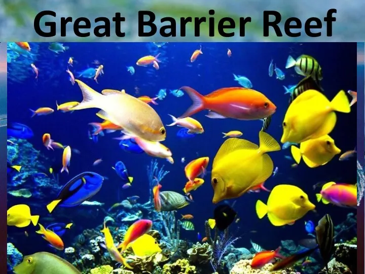 Great Barrier Reef