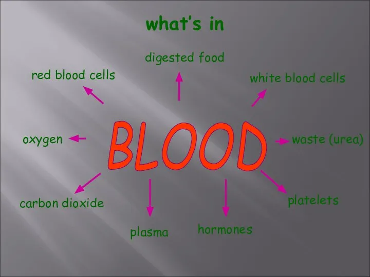 what’s in red blood cells white blood cells platelets plasma carbon