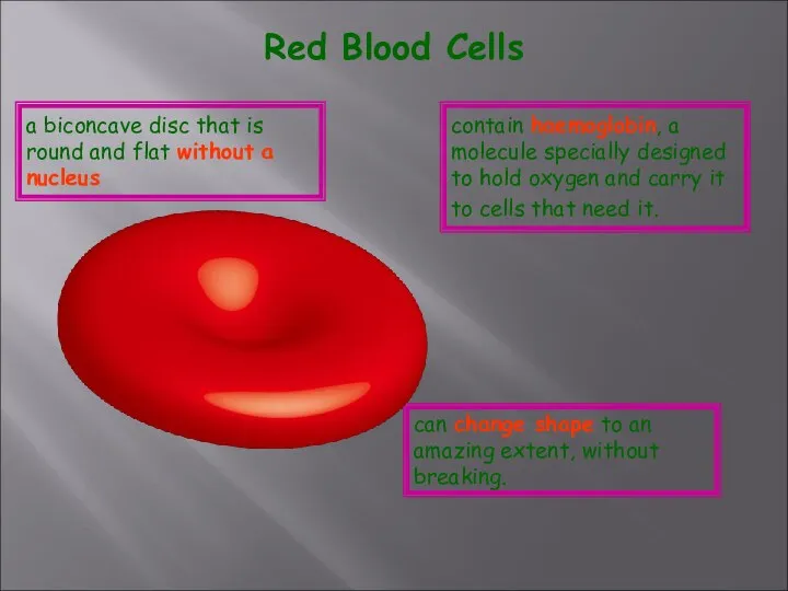 Red Blood Cells contain haemoglobin, a molecule specially designed to hold