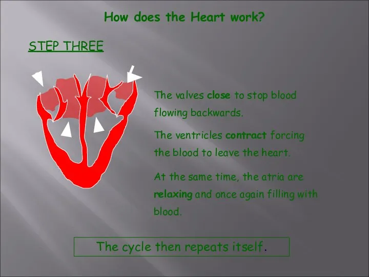 How does the Heart work? The cycle then repeats itself. STEP THREE