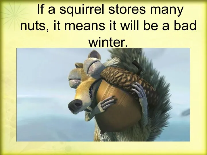 If a squirrel stores many nuts, it means it will be a bad winter.