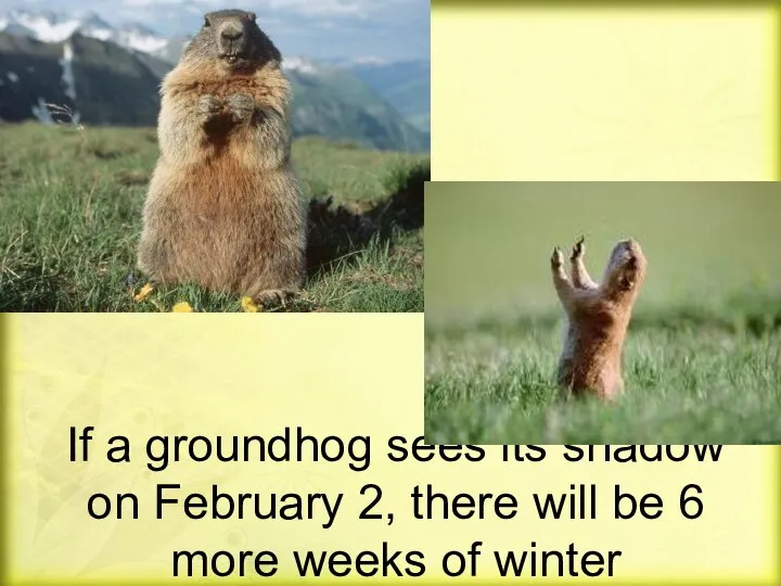 If a groundhog sees its shadow on February 2, there will