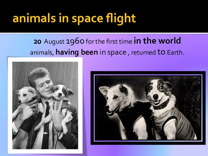 animals in space flight 20 August 1960 for the first time