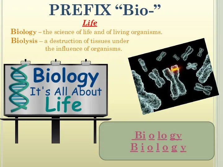 PREFIX “Bio-” Life Biology – the science of life and of