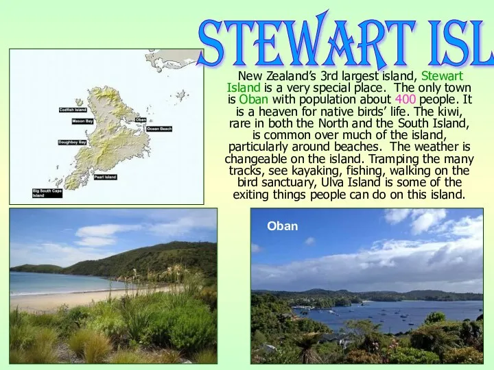 New Zealand’s 3rd largest island, Stewart Island is a very special