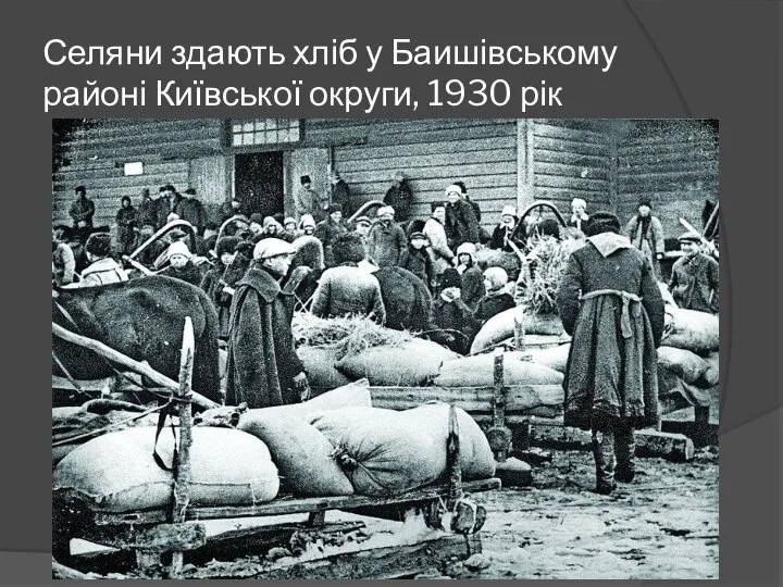 Селяни здають хліб у Баишівському районі Київської округи, 1930 рік