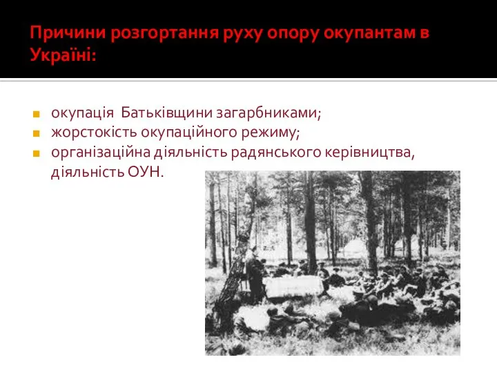 Причини розгортання руху опору окупантам в Україні: окупація Батьківщини загарбниками; жорстокість