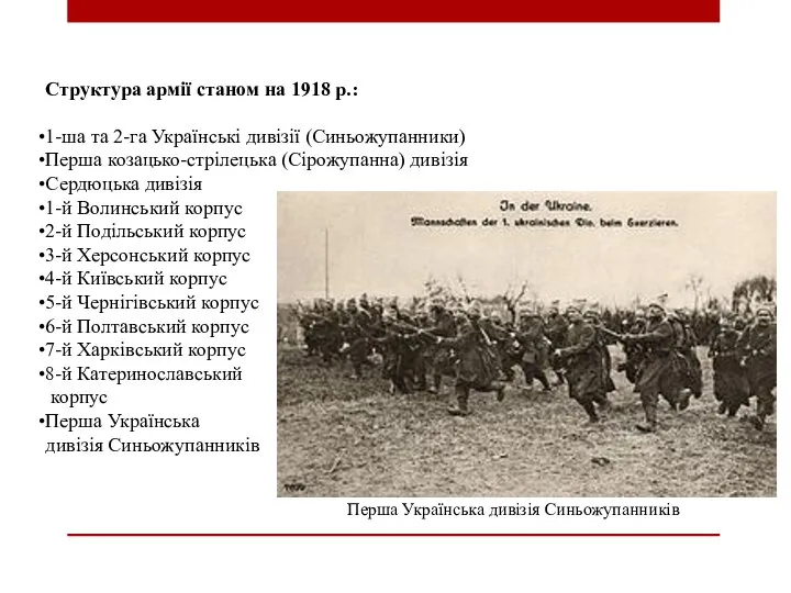 Структура армії станом на 1918 р.: 1-ша та 2-га Українські дивізії
