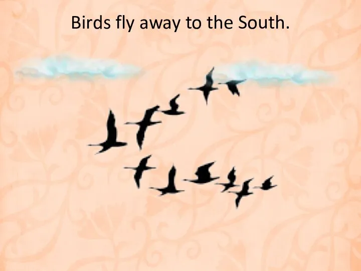 Birds fly away to the South.