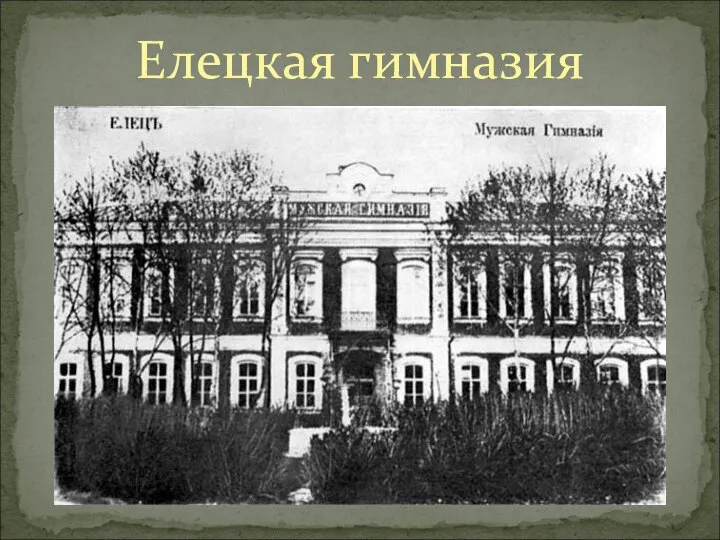 Елецкая гимназия