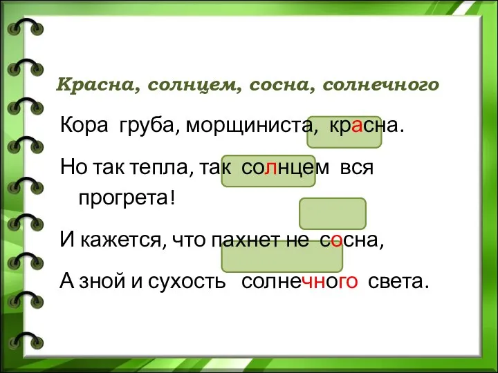 Кора груба, морщиниста, красна. Но так тепла, так солнцем вся прогрета!