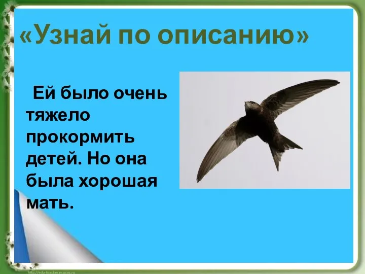 «Узнай по описанию» Ей было очень тяжело прокормить детей. Но она была хорошая мать.