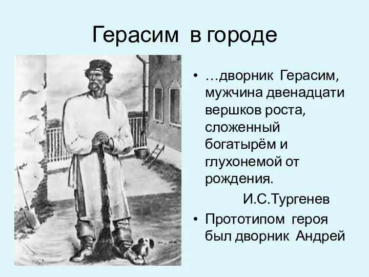 Герасим в городе …дворник Герасим, мужчина двенадцати вершков роста, сложенный богатырём