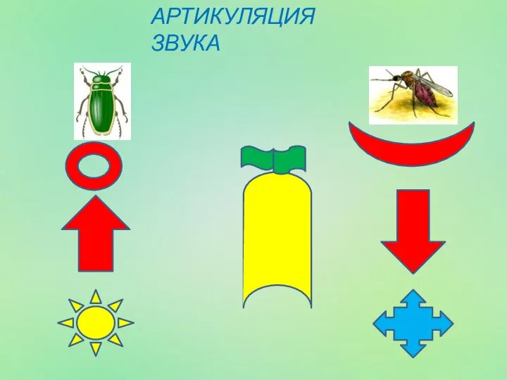 АРТИКУЛЯЦИЯ ЗВУКА