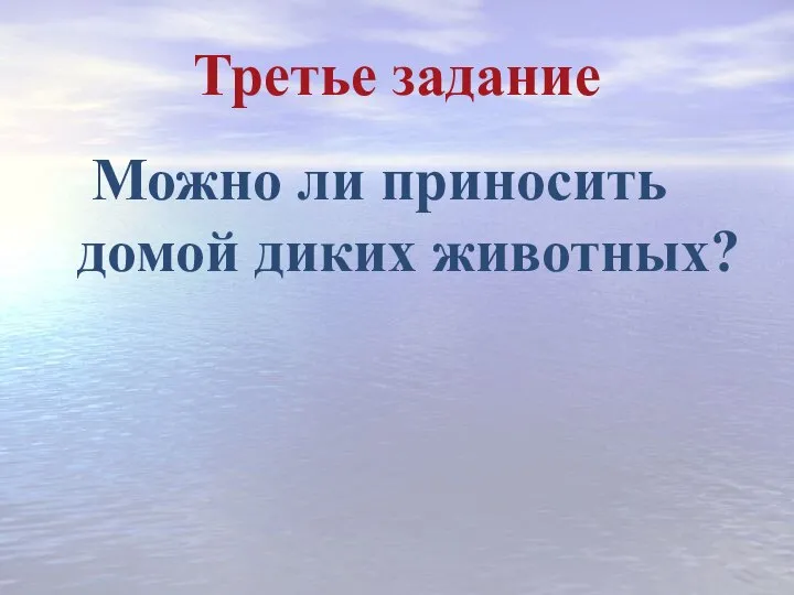 Третье задание Можно ли приносить домой диких животных?