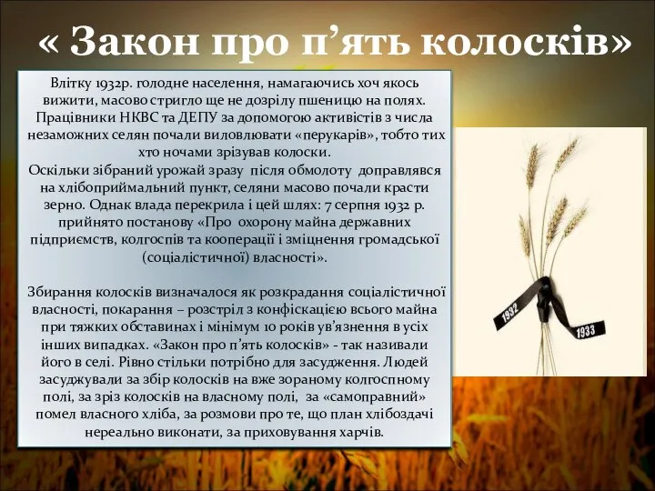 « Закон про п’ять колосків» Влітку 1932р. голодне населення, намагаючись хоч