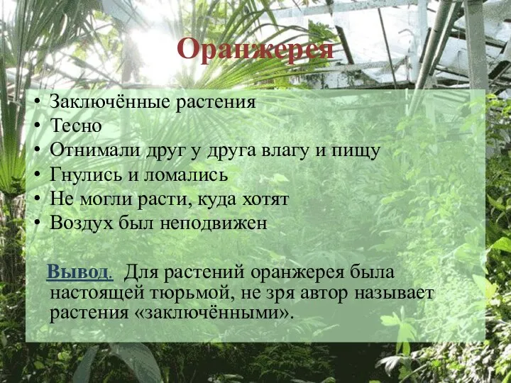 Оранжерея Заключённые растения Тесно Отнимали друг у друга влагу и пищу