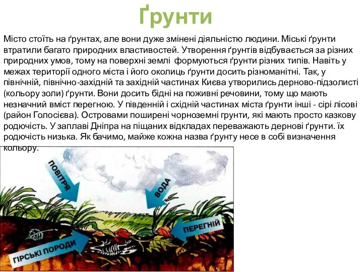 Ґрунти Місто стоїть на ґрунтах, але вони дуже змінені діяльністю людини.