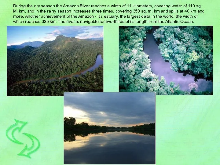 During the dry season the Amazon River reaches a width of