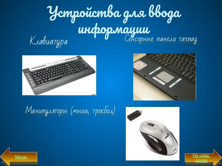 Устройства для ввода информации Клавиатура Сенсорные панели тачпад Манипуляторы (мышь, трекбол) Меню На след. слайд
