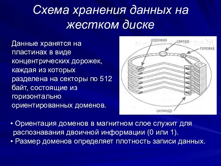 Схема хранения данных на жестком диске Данные хранятся на пластинах в