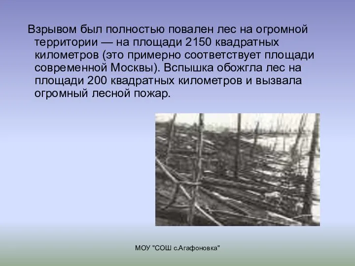 МОУ "СОШ с.Агафоновка" Взрывом был полностью повален лес на огромной территории