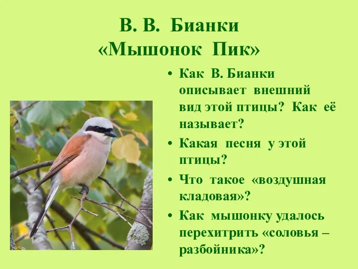 В. В. Бианки «Мышонок Пик» Как В. Бианки описывает внешний вид